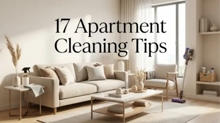 Apartment cleaning tips image